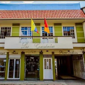 Gardenias Cuenca